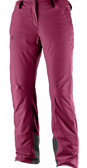 Salomon - Зимние брюки для женщин Icemania Pant W