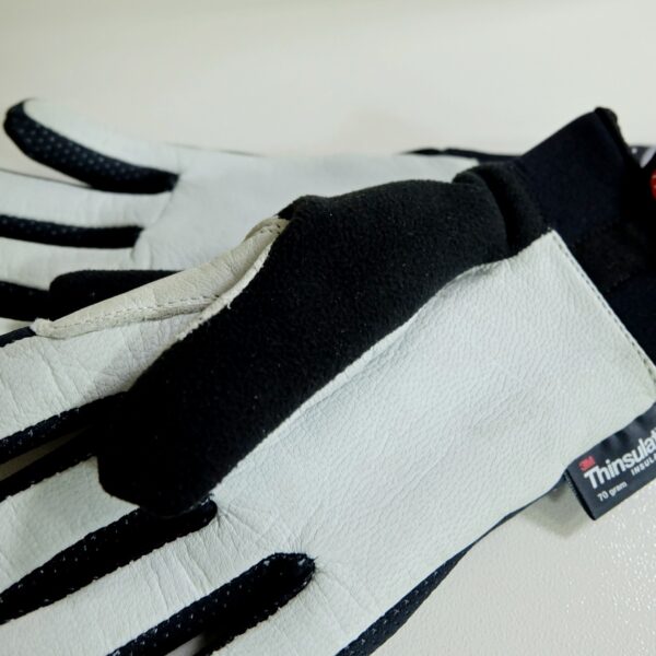 Утепленные перчатки Rex Thermo Plus Glove (17-18)