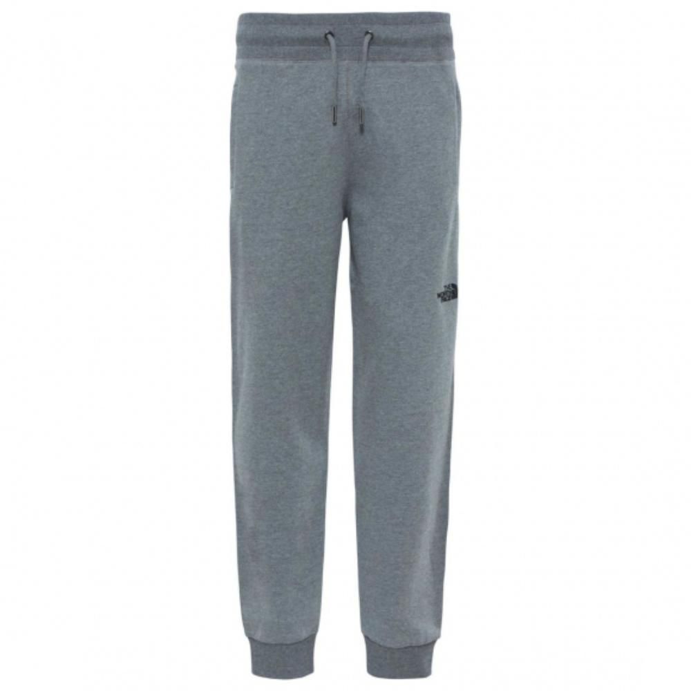 Спортивные мужские брюки The North Face Nse Light Pant Tnf Me Gr He