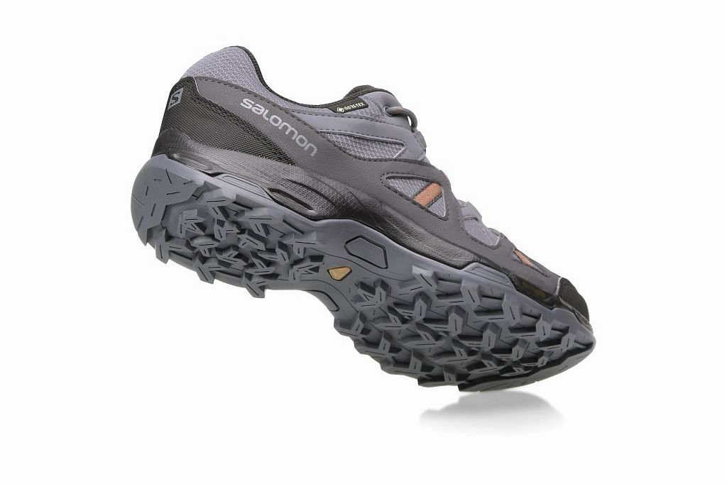 Кроссовки для туризма Salomon Rhossili GTX W