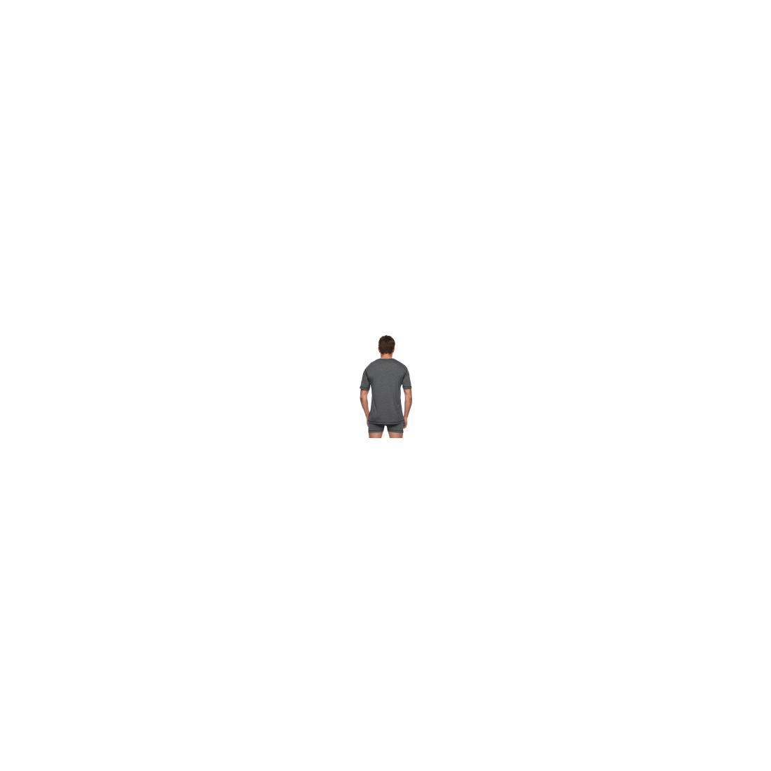 Утепленная футболка Bask Merino Wool T-Shirt