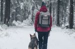 Городской удобный рюкзак Husky Robber 25