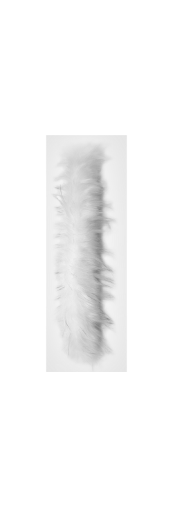 Опушка из искусственного меха на молнии Bask Лиса