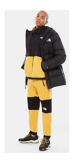 Спортивная куртка мужская The North Face Deptford Down