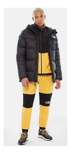 Спортивная куртка мужская The North Face Deptford Down