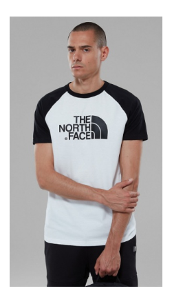 The North Face - Хлопковая футболка мужская SS Raglan Easy Tee