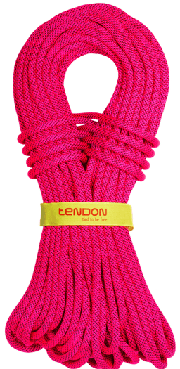 Веревка надежная Tendon Master 9.0 Tefix Standard