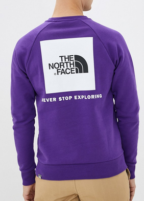 The North Face - Стильный свитшот с принтом Raglan Redbox Crew