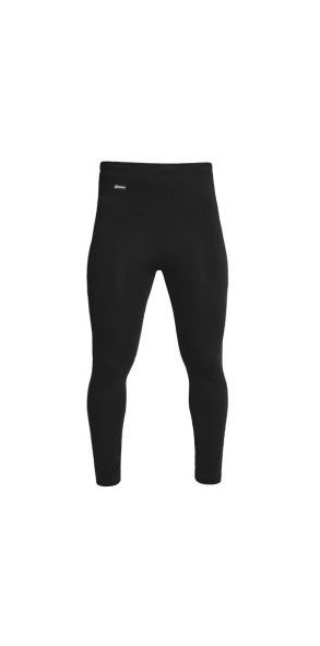 Термобрюки Bask Greenwich-Alpine Pants