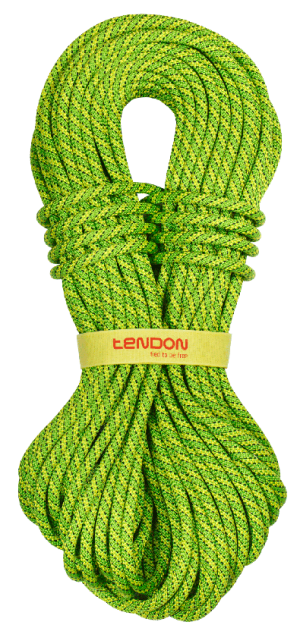 Износостойкая веревка Tendon Ambition 9.8 Standard