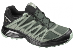 Кроссовки для спорта Salomon Xt Asama Gtx Urban Chic/Bk/Gre