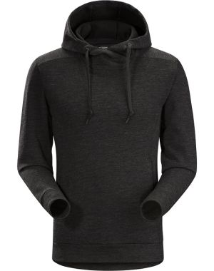 Arcteryx - Мужской свитшот Elgin Hoody
