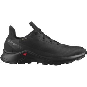 Спортивные кроссовки Salomon Alphacross 3 GTX