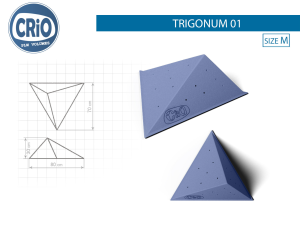 Прочный рельеф для скалолазания Crio Holds Trigonum 01
