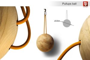 Оригинальный тренажер для пальцев и рук Top Point Pullups Ball