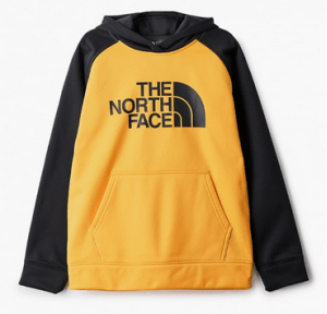 The North Face - Худи для мальчиков Surgent Pullover Hoodie