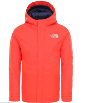 Спортивная куртка детская The North Face Snow Quest 