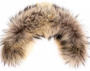 Red Fox - Отделка капюшона Енот