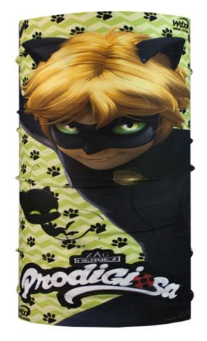 Wind X-Treme - Шарф-труба технологичный cat noir Wind-B Licences 45/51