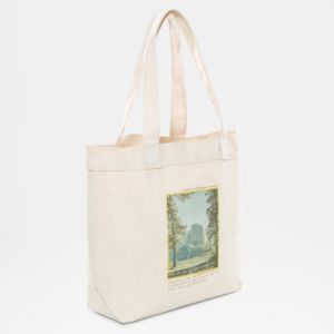 Удобная сумка The North Face Cotton Tote