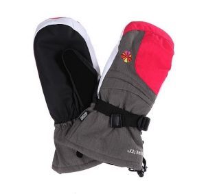 Pow - Удобные варежки женские W's Falon GTX Mitt
