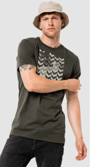 Туристическая футболка Jack Wolfskin Chevron T M