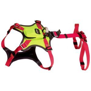 Camp - Страховочная привязь для собак Kronos