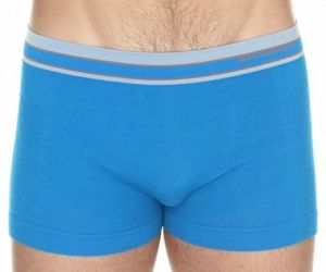 BRUBECK - Трусы мужские боксеры Active Wool