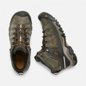 Мембранные ботинки Keen Targhee III Mid WP M
