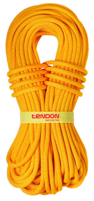 Износостойкая веревка Tendon Ambition 10.2 Tefix Standard