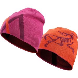 Arc'teryx - Осенняя шапка ARC Mountain
