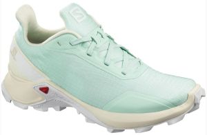 Лёгкие беговые кроссовки для XC Salomon Alphacross
