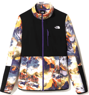 Спортивная куртка женская The North Face Diablo Midlayer