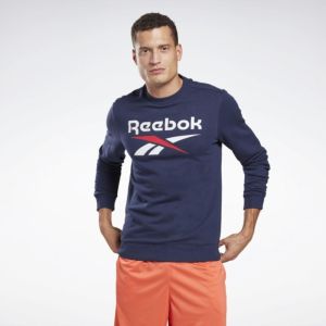 Спортивная мужская толстовка Reebok Ri Ft Bl Crew
