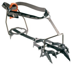 Camp - Кошки CC