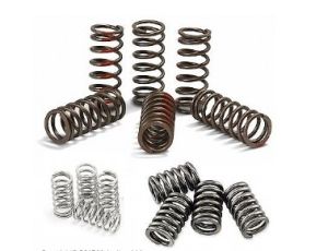 Ferodo - Пружины сцепления для мотоцикла