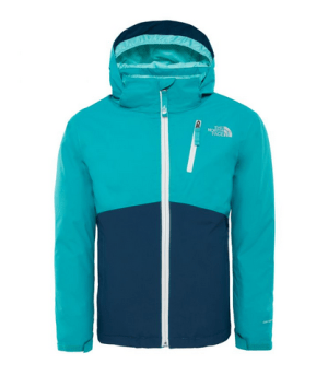 Куртка утепленная детская The North Face SnowDrift 