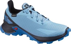 Кроссовки комфортные детские Salomon Alphacross CSWP Blast J
