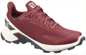 Кроссовки для бега Salomon Alphacross Blast GTX W