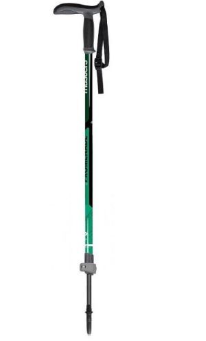 Masters - Регулируемая телескопическая палка Promenade