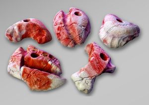 Скалолазные озацепы Top Point #043