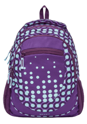 Grizzly - Городской рюкзак 21