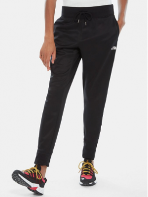 The North Face - Теплые женские брюки Surgent Cuffed