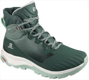 Женские технологичные ботинки Salomon Vaya Blaze TS CSWP