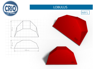Прочный рельеф для скалолазания Crio Holds Lobulus