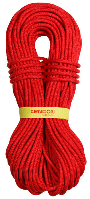 Износостойкая веревка Tendon Master Pro 9.2 Complete Shield UIAA Water repellent