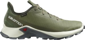 Кроссовки мужские Salomon Alphacross 3 GTX