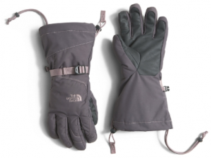 The North Face - Перчатки горнолыжные Revelstoke Etip