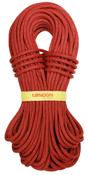 Износостойкая веревка Tendon Ambition 10 Standard