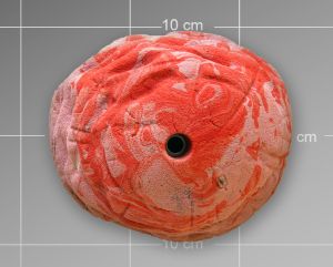 Скалолазный зацеп Top Point #039